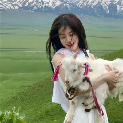 国际桥牌社 第二季