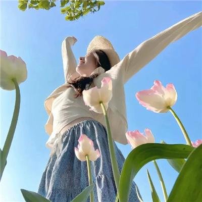 叶问：终极一战粤语